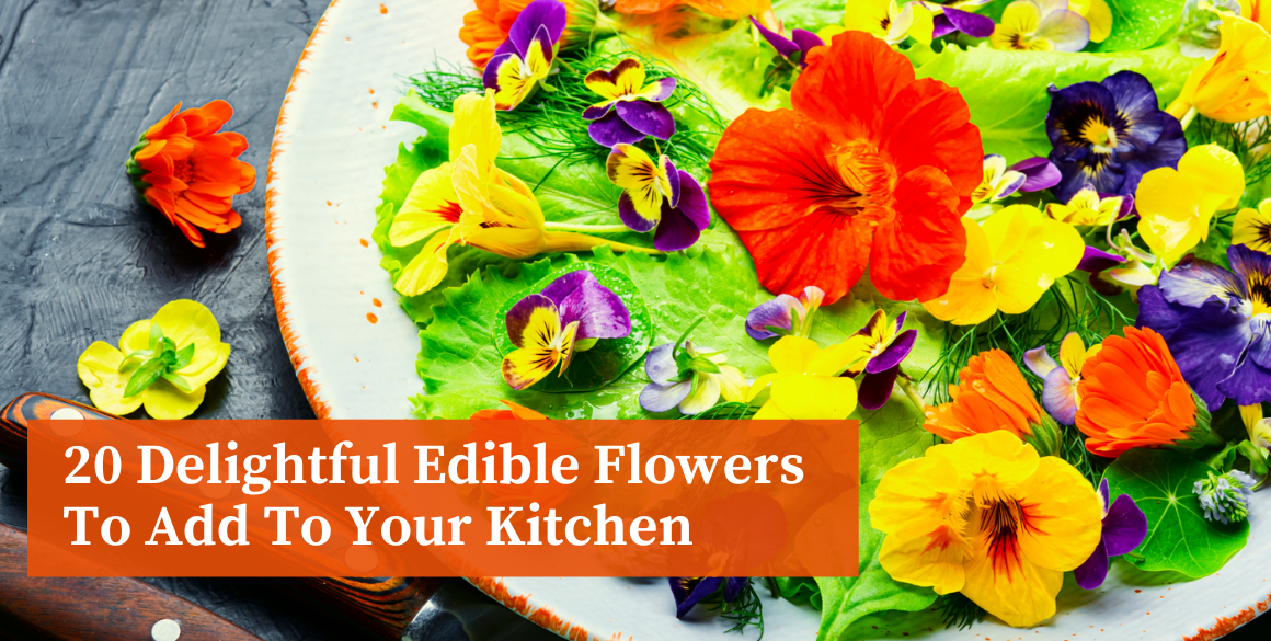 20 Delightful Edible Flowers To Add To Your Kitchen